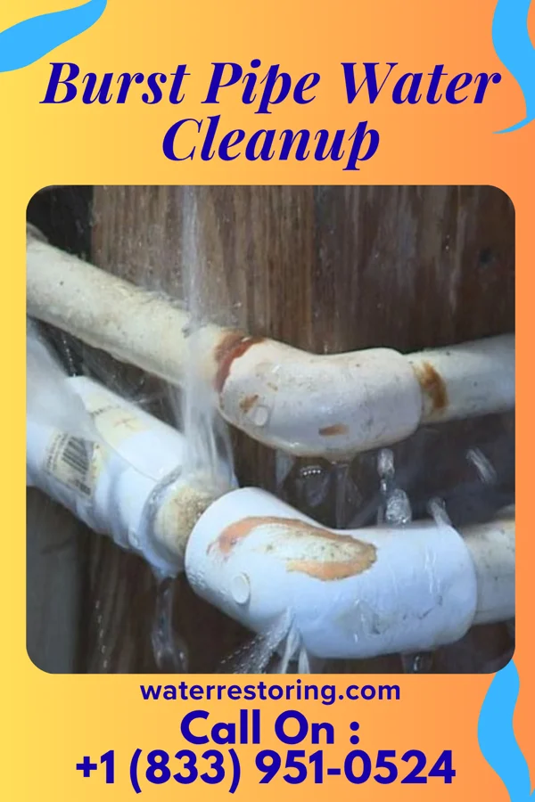 Burst Pipe Water Cleanup in Big Spring, MD