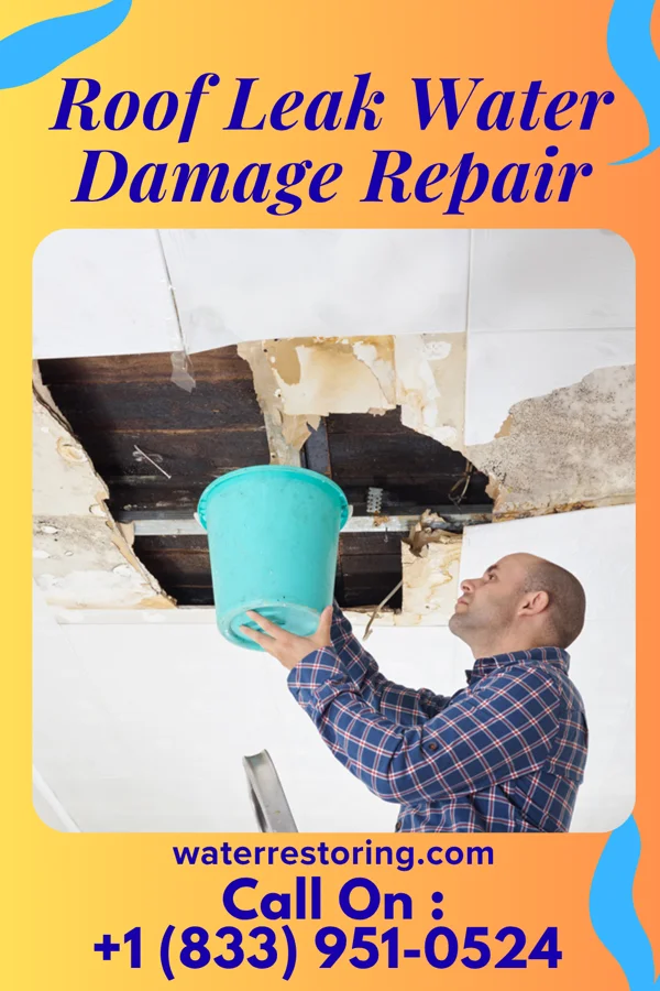 Roof Leak Water Damage Repair in Big Spring, MD