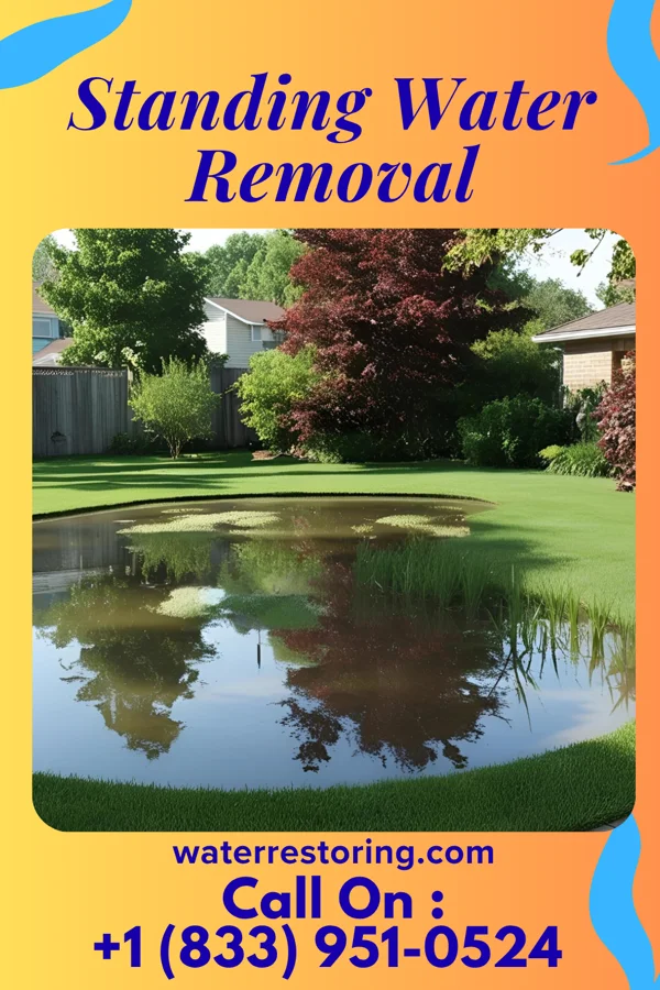 Standing Water Removal in Big Spring, MD